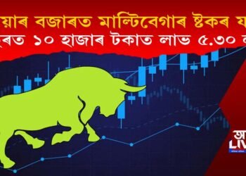 শ্বেয়াৰ বজাৰত মাল্টিবেগাৰ ষ্টকৰ যাদু : এবছৰত ১০ হাজাৰ টকাত লাভ ৫.৩০ লাখ!