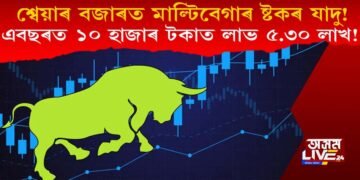 শ্বেয়াৰ বজাৰত মাল্টিবেগাৰ ষ্টকৰ যাদু : এবছৰত ১০ হাজাৰ টকাত লাভ ৫.৩০ লাখ!