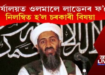 চৰকাৰী কাৰ্যালয়ত ওলমালে লাডেনৰ ফ’টো, নিলম্বিত হ’ল চৰকাৰী বিষয়া