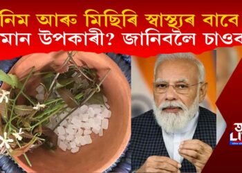 নিম আৰু মিছিৰি স্বাস্থ্যৰ বাবে কিমান উপকাৰী? জানিবলৈ চাওক…