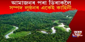 আমাজনৰ পৰা ডিৰাকলৈ সম্পদ লুণ্ঠনৰ একেই কাহিনী…