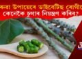 ঘৰুৱা উপায়েৰে ডায়েবেটিছ ৰোগীয়ে কেনেকৈ ব্লাড চুগাৰ কেনেকৈ নিয়ন্ত্ৰণ হ্ৰাস কৰিব?
