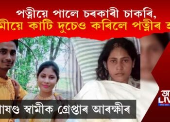 পত্নীয়ে পালে চৰকাৰী চাকৰি, স্বামীয়ে কাটি দুচেও কৰিলে পত্নীৰ হাত, কিন্তু কিয়?