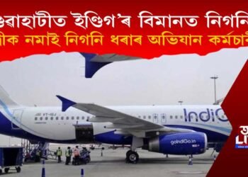 গুৱাহাটীত ইণ্ডিগ’ৰ বিমানত নিগনি! বিমানৰ যাত্ৰীক নমাই নিগনি ধৰাৰ অভিযান কৰ্মচাৰীৰ