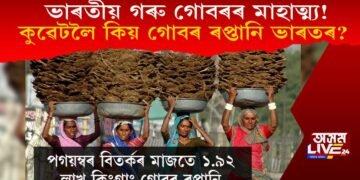 ভাৰতীয় গৰু গোবৰৰ মাহাত্ম্য! পয়গম্বৰ বিতৰ্কৰ স্বত্বেও কুৱেটলৈ ১.৯২ লাখ কিঃগ্ৰাঃ গোবৰ ৰপ্তানি