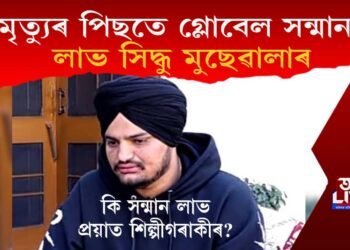 মৃত্যুৰ পিছতে গ্লোবেল সন্মান লাভ সিদ্ধু মুছেৱালাৰ, কি সন্মান লাভ কৰিলে প্ৰয়াত শিল্পীগৰাকীয়ে?