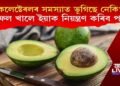 কলেষ্টেৰলৰ সমস্যাত ভুগিছে নেকি? কি ফল খালে ইয়াক নিয়ন্ত্ৰণ কৰিব পাৰি?