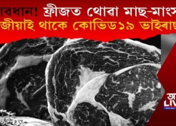 সাৱধান হওক! ফ্ৰীজত থোৱা মাংস-মাছত জীয়াই থাকে কোভিড১৯ ভাইৰাছ!