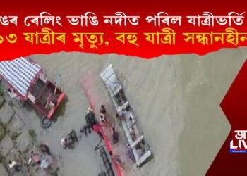 দলঙৰ ৰেলিং ভাঙি নদীত পৰিল যাত্ৰীভর্তি বাছ, ১৩ জন লোকৰ মৃত্যু, বহু যাত্ৰী সন্ধানহীন!