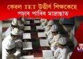 কেৱল TET উত্তীৰ্ণ শিক্ষকেহে পঢ়াব পাৰিব মাদ্ৰাছাত