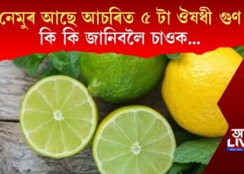 নেমুৰ আছে আচৰিত ৫ টা ঔষধী গুণ জানক কি কি?