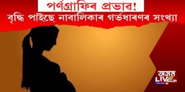 পর্ণগ্ৰাফিৰ প্ৰভাৱ! বৃদ্ধি পাইছে নাবালিকাৰ গৰ্ভধাৰণৰ সংখ্যা