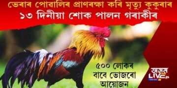 ভেৰাৰ পোৱালিৰ প্ৰাণৰক্ষা কৰি মৃত্যু কুকুৰাৰ, ১৩ দিনীয়া শোক পালন গৰাকীৰ