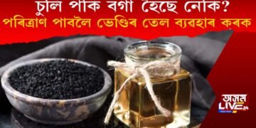 চুলি পকি বগা হৈছে নেকি? পৰিত্ৰাণ পাবলৈ ভেণ্ডিৰ গুটিৰ তেল ব্যৱহাৰ কৰক