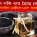 চুলি পকি বগা হৈছে নেকি? পৰিত্ৰাণ পাবলৈ ভেণ্ডিৰ গুটিৰ তেল ব্যৱহাৰ কৰক