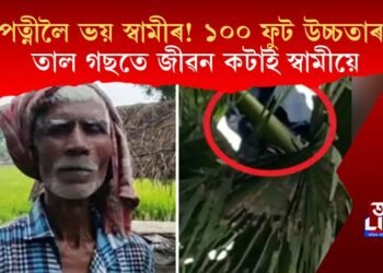 পত্নীলৈ ভয় স্বামীৰ! ১০০ ফুট উচ্চতাৰ তাল গছতে জীৱন কটাই স্বামীয়ে