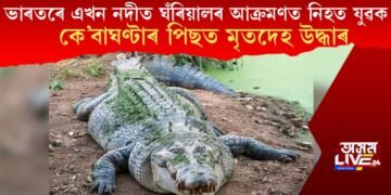 এইখন ভাৰতৰে নদীত ঘঁৰিয়ালৰ আক্ৰমণত নিহত যুৱক, কে’বাঘণ্টাৰ পিছত মৃতদেহ উদ্ধাৰ