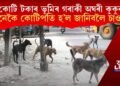৫ কোটি টকাৰ ভূমিৰ অঘৰী গৰাকী কুকুৰ! কটায় বিলাসী জীৱন! কেনেকৈ কোটিপতি হ’লেই কুকুৰ?