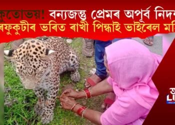 অকুতোভয়! বন্যজন্তু প্ৰেমৰ অপূৰ্ব নিদৰ্শন; নাহৰফুকুটীৰ ভৰিত ৰাখী পিন্ধাই চৰ্চিত কোন মহিলা?