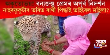 অকুতোভয়! বন্যজন্তু প্ৰেমৰ অপূৰ্ব নিদৰ্শন; নাহৰফুকুটীৰ ভৰিত ৰাখী পিন্ধাই চৰ্চিত কোন মহিলা?