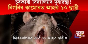 চৰকাৰী বিদ্যালয়ৰ দুৰাৱস্থা! নিগনিৰ কামোৰত আহত ১০ ছাত্ৰী, চিকিৎসালয়ত ভৰ্তি