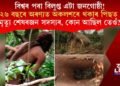 বিশ্বৰ পৰা বিলুপ্ত এটা জনগোষ্ঠী! ২৬বছৰে অৰণ্যত অকলশৰে থকাৰ পিছত মৃত্যু শেষৰজন সদস্যৰ