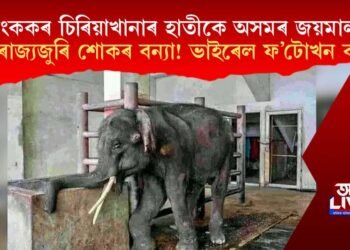 বেংককৰ চিৰিয়াখানাৰ হাতীকে অসমৰ জয়মালা বুলি ৰাজ্যজুৰি শোকৰ বন্যা!এইখন অসমৰ জয়মালা নামৰ হাতীটোৰ ফটো নহয়!