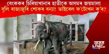 বেংককৰ চিৰিয়াখানাৰ হাতীকে অসমৰ জয়মালা বুলি ৰাজ্যজুৰি শোকৰ বন্যা!এইখন অসমৰ জয়মালা নামৰ হাতীটোৰ ফটো নহয়!