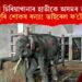 বেংককৰ চিৰিয়াখানাৰ হাতীকে অসমৰ জয়মালা বুলি ৰাজ্যজুৰি শোকৰ বন্যা!এইখন অসমৰ জয়মালা নামৰ হাতীটোৰ ফটো নহয়!
