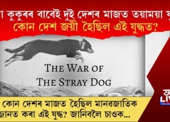 এটা কুকুৰৰ বাবেই দুই দেশৰ মাজত তয়াময়া যুদ্ধ! যুদ্ধৰ পৰিণাম কি হৈছিল?