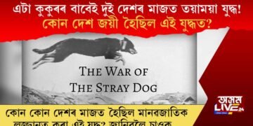 এটা কুকুৰৰ বাবেই দুই দেশৰ মাজত তয়াময়া যুদ্ধ! যুদ্ধৰ পৰিণাম কি হৈছিল?