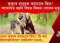 মানুহক কুকুৰে কামোৰে কিয়? কুকুৰৰ আক্ৰমণত বিশ্বত প্ৰতিবছৰে ৫৫,০০০ লোকৰ মৃ্ত্যু ঘটে?