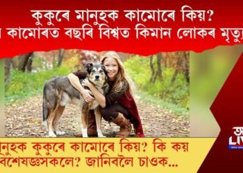মানুহক কুকুৰে কামোৰে কিয়? কুকুৰৰ আক্ৰমণত বিশ্বত প্ৰতিবছৰে ৫৫,০০০ লোকৰ মৃ্ত্যু ঘটে?