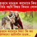 মানুহক কুকুৰে কামোৰে কিয়? কুকুৰৰ আক্ৰমণত বিশ্বত প্ৰতিবছৰে ৫৫,০০০ লোকৰ মৃ্ত্যু ঘটে?