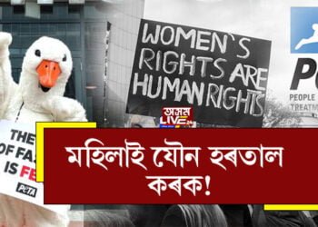 যৌন ধৰ্মঘট! মহিলাক যৌন ধৰ্মঘট কৰিবলৈ কিয় আহ্বান জনাইছে পশুপ্ৰেমী সংস্থাই?