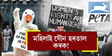 যৌন ধৰ্মঘট! মহিলাক যৌন ধৰ্মঘট কৰিবলৈ কিয় আহ্বান জনাইছে পশুপ্ৰেমী সংস্থাই?