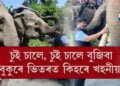নেটিজেনে কৈছে, অতুল বৰাই এতিয়া হাতী কেৱল চুইহে চাব পাৰিব…