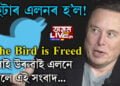 এইবাৰ কি কৰে ঠিক নাই! মাস্কে টুইটাৰ ক্ৰয় কৰিয়েই উৰুৱাই দিলে নীলা চৰাইক…