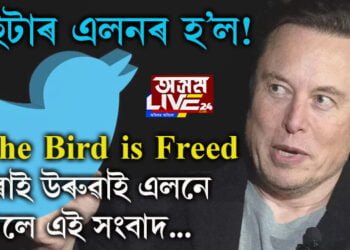 এইবাৰ কি কৰে ঠিক নাই! মাস্কে টুইটাৰ ক্ৰয় কৰিয়েই উৰুৱাই দিলে নীলা চৰাইক…