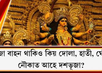 নিজা বাহন সিংহ… অথচ প্ৰত্যেক বছৰেই কিয় দোলা, হাতী, ঘোঁৰা, নৌকাত আহে দেৱী দুৰ্গা?
