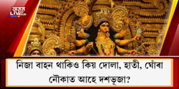 নিজা বাহন সিংহ… অথচ প্ৰত্যেক বছৰেই কিয় দোলা, হাতী, ঘোঁৰা, নৌকাত আহে দেৱী দুৰ্গা?