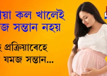 যুৰীয়া কল খালেই যমজ সন্তান নহয়, যমজ সন্তান কেনেকৈ হয়? সবিশেষ জানিবলৈ ক্লিক কৰক…