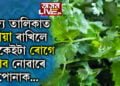 ধনীয়া হৃদৰোগীৰ বাবেই উপকাৰী এনে নহয়, কৰ্কট প্ৰতিৰোধৰ বাবেও খাব পাৰে ধনীয়া পাত, আৰু কি কি উপকাৰীতা আছে ধনীয়াৰ, সবিশেষ…