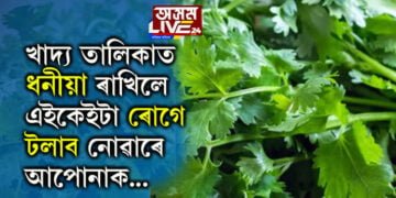 ধনীয়া হৃদৰোগীৰ বাবেই উপকাৰী এনে নহয়, কৰ্কট প্ৰতিৰোধৰ বাবেও খাব পাৰে ধনীয়া পাত, আৰু কি কি উপকাৰীতা আছে ধনীয়াৰ, সবিশেষ…