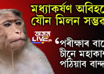 মধ্যাকৰ্ষণ অবিহনে যৌন মিলন সম্ভৱনে? পৰীক্ষাৰ বাবে মহাকাশলৈ চীনে পঠিয়াব বান্দৰ