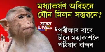 মধ্যাকৰ্ষণ অবিহনে যৌন মিলন সম্ভৱনে? পৰীক্ষাৰ বাবে মহাকাশলৈ চীনে পঠিয়াব বান্দৰ