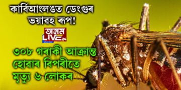 কাৰ্বিআংলঙত ডেংগুৰ ভয়াৱহ ৰূপ! ৩০৮ গৰাকী আক্ৰান্ত হোৱাৰ বিপৰীতে মৃত্যু ৬ লোকৰ