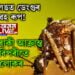 কাৰ্বিআংলঙত ডেংগুৰ ভয়াৱহ ৰূপ! ৩০৮ গৰাকী আক্ৰান্ত হোৱাৰ বিপৰীতে মৃত্যু ৬ লোকৰ