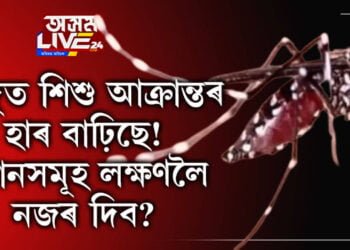 ডেংগুত শিশুৰ আক্ৰান্তৰ হাৰ বাঢ়িছে! কোনকেইটা লক্ষণলৈ নজৰ দিব?