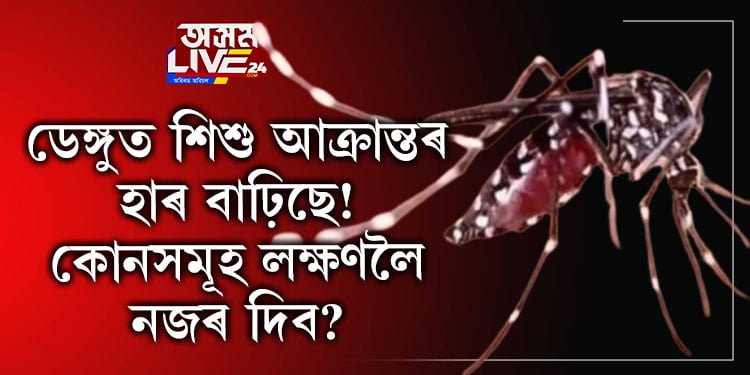 ডেংগুত শিশুৰ আক্ৰান্তৰ হাৰ বাঢ়িছে! কোনকেইটা লক্ষণলৈ নজৰ দিব?